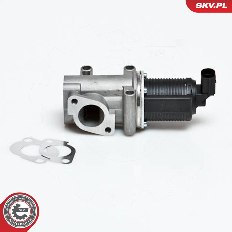 EGR Valve-4