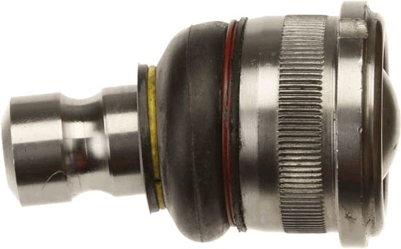 Šarnyras / girgždukas