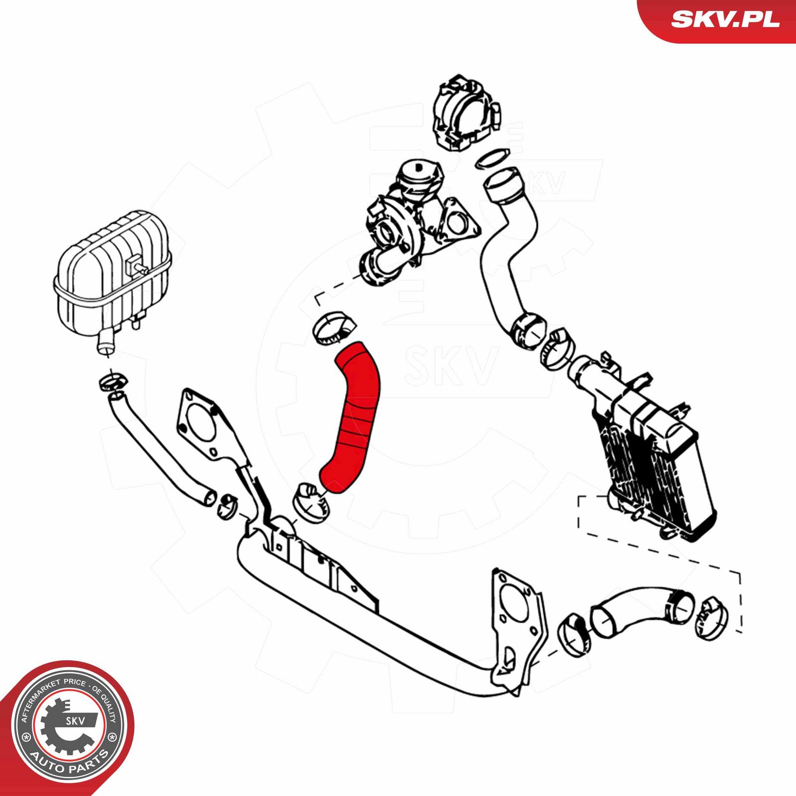 Charge Air Hose-1
