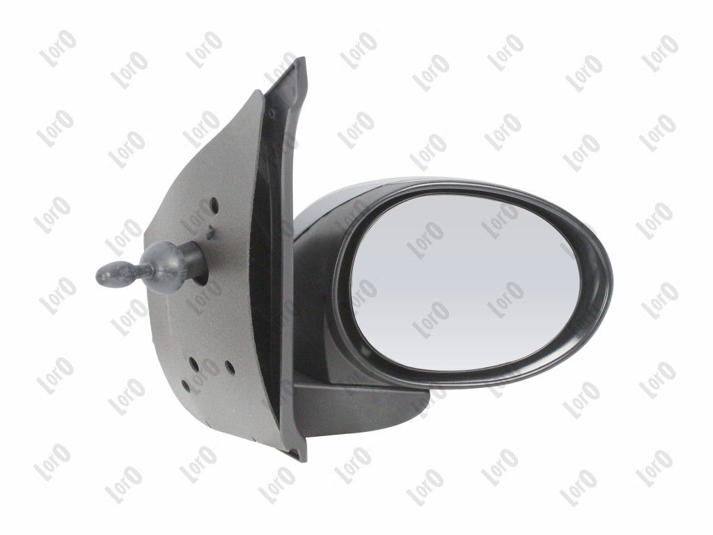 Exterior Mirror-1