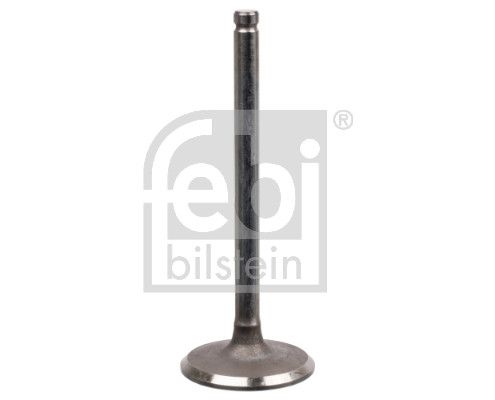 Intake Valve