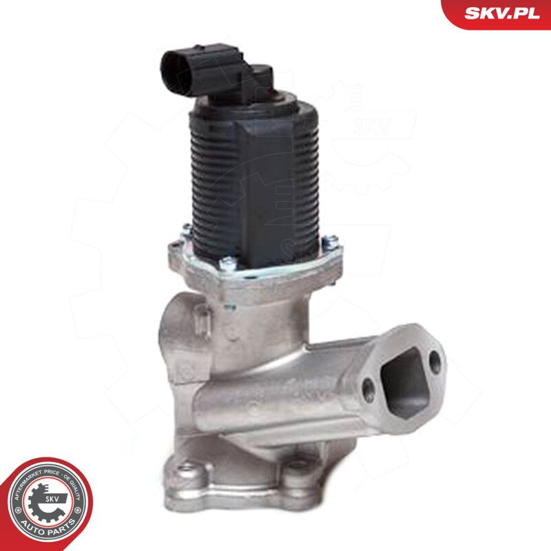 EGR Valve-5