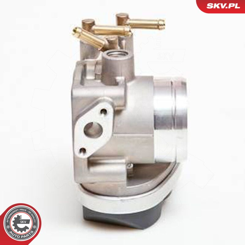 Throttle Body-1