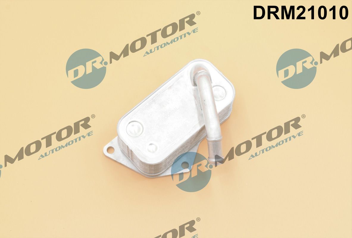 DR.MOTOR AUTOMOTIVE DRM21010 Oil cooler, engine oil