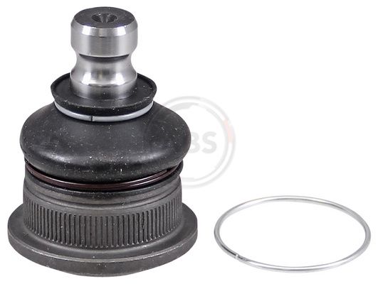 A.B.S. 220419 Šarnyras / girgždukas