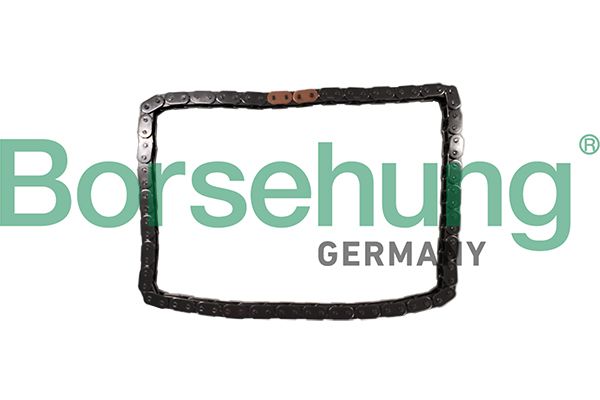BORSEHUNG B12784 Timing chain