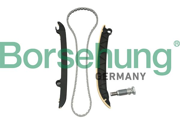 BORSEHUNG B18843 Timing chain kit