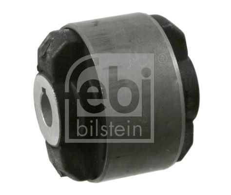 Mounting, control/trailing arm-main