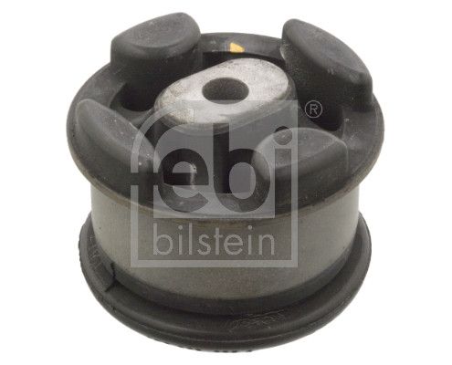 Mounting, transfer case