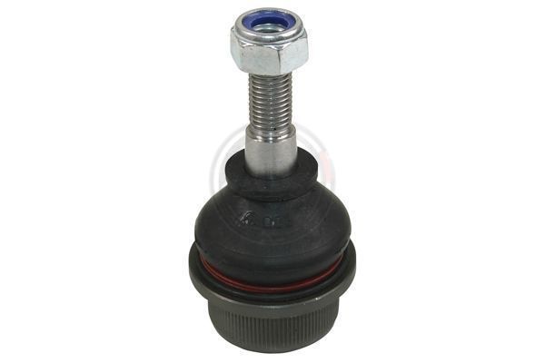 Šarnyras / girgždukas