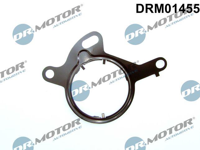 DR.MOTOR AUTOMOTIVE DRM01455 Gasket, vacuum pump